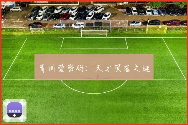 青训营密码：天才陨落之谜