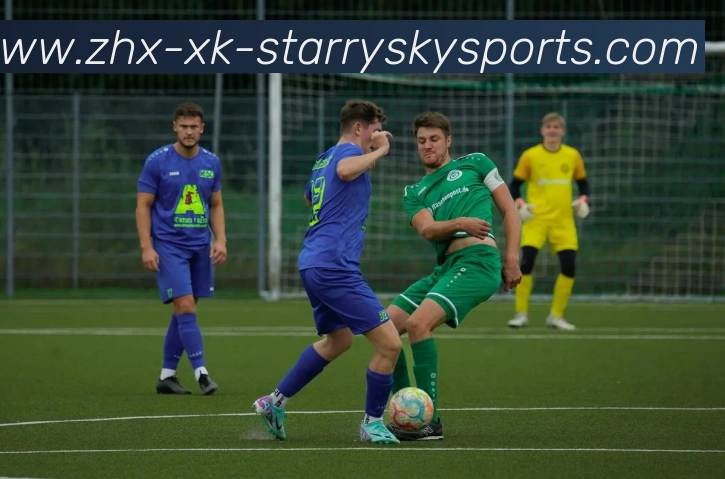 星空体育APP 高清赛事图